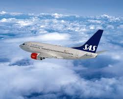 scandinavian airlines picture