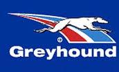 greyhound bus logo
