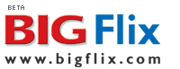bigflix-logo