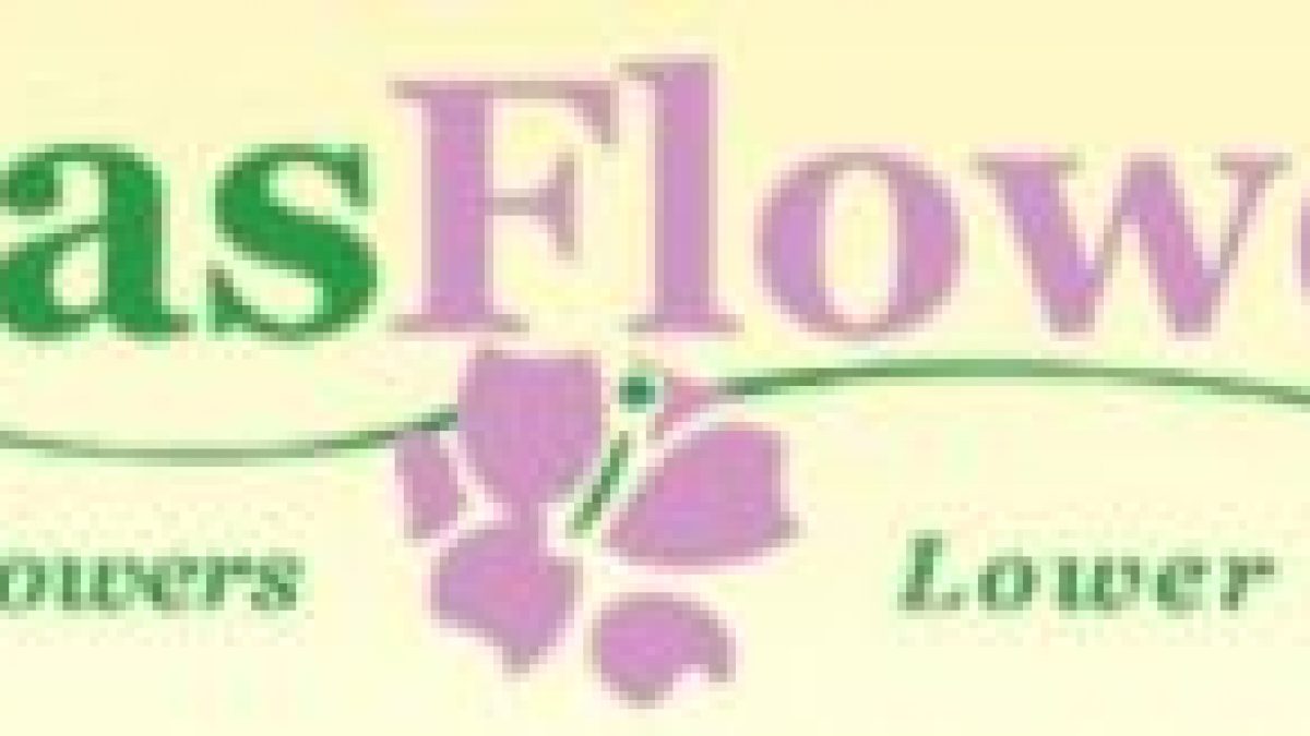 Avas Flowers 300 Corporate Drive Mahwah Nj 07430 Best Flower Site