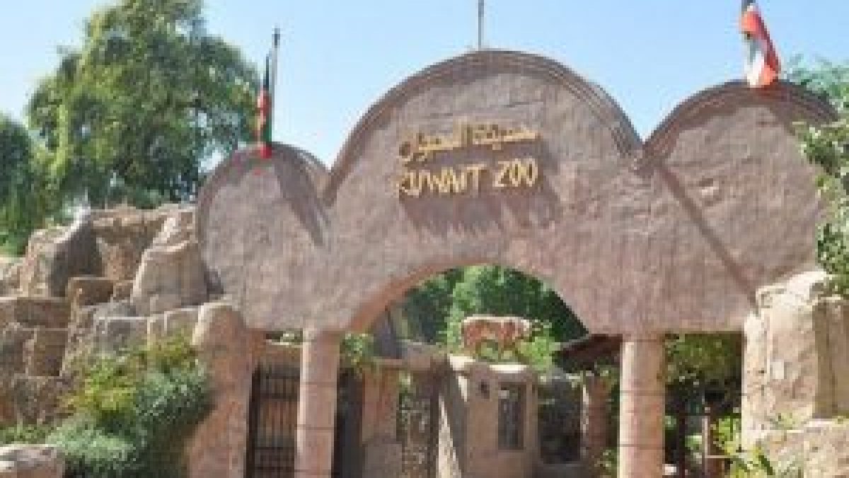 Contact of Kuwait Zoo (phone, address)