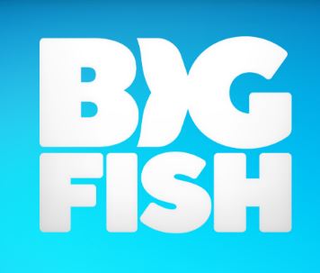 reinstall big fish games app