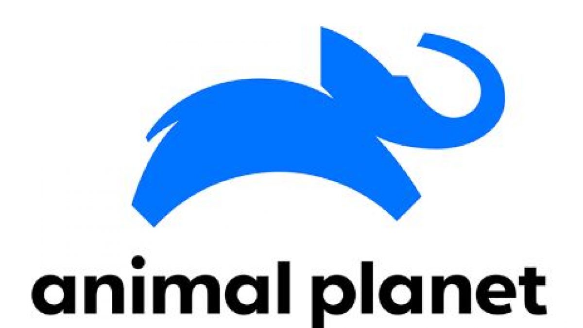 Contact of Animal Planet channel support