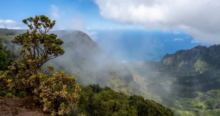Napali Coast Wilderness Park guide with contact info