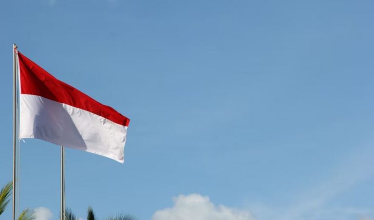 How to apply birth certificate in Indonesia (with steps)