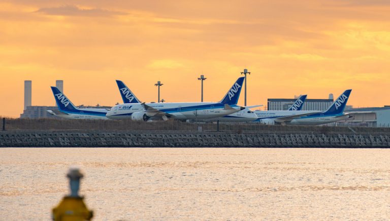 Your lost baggage guide for All Nippon Airways