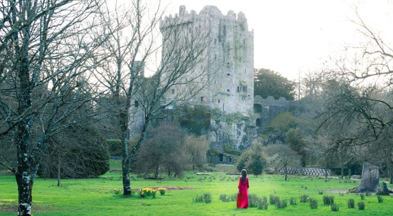 Blarney Castle guide: Timings, tickets & contact info