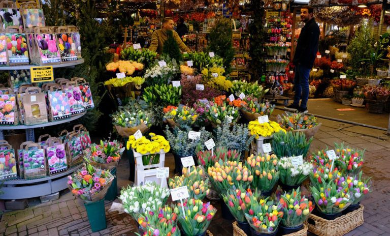 Bloemenmarkt visitor guide: Highlights, timings and more